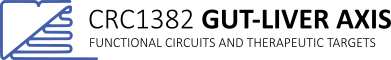 CRC1382 Logo