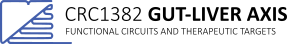 CRC1382 Logo